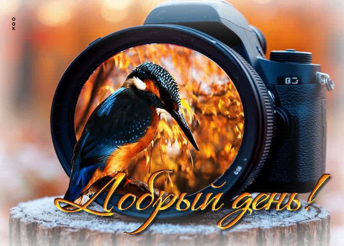 Postcard очаровательная, гармоничная осенняя гифка добрый день