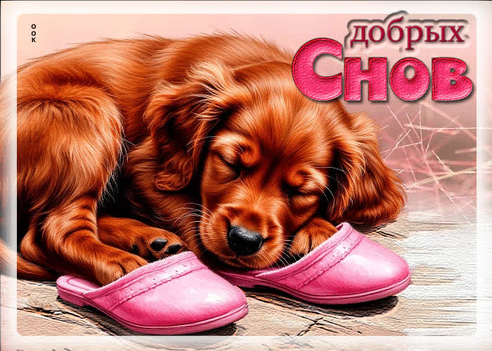 Postcard очаровательная гифка добрых снов