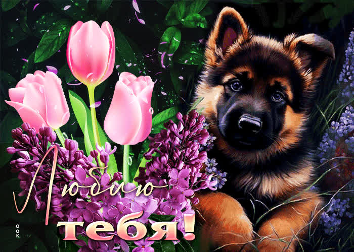 Picture очаровательная и милая гиф-открытка люблю тебя