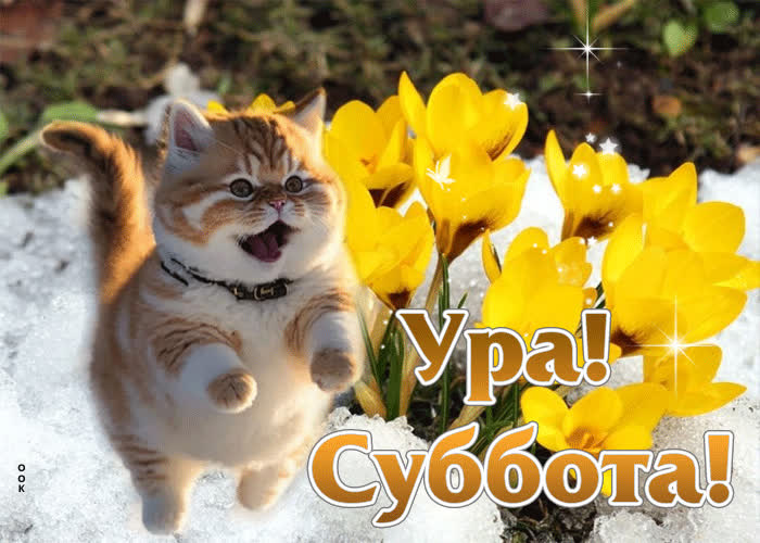 Postcard очаровательная и весенняя открытка суббота