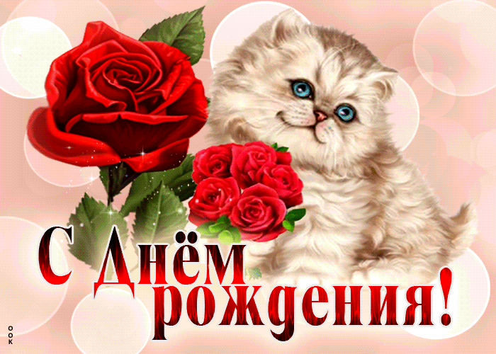 Picture очаровательная и яркая гиф-открытка с котиком с днем рождения