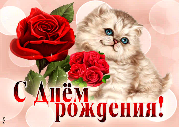 Picture очаровательная и яркая гиф-открытка с котиком с днем рождения