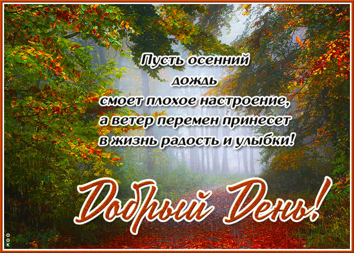 Postcard очаровательная открытка пусть осенний дождь смоет плохое настроение