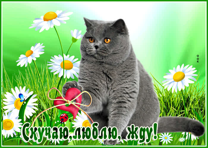 Picture очаровательная открытка скучаб, люблю, жду!