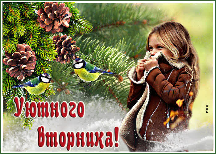 Postcard очаровательная открытка уютного вторника!