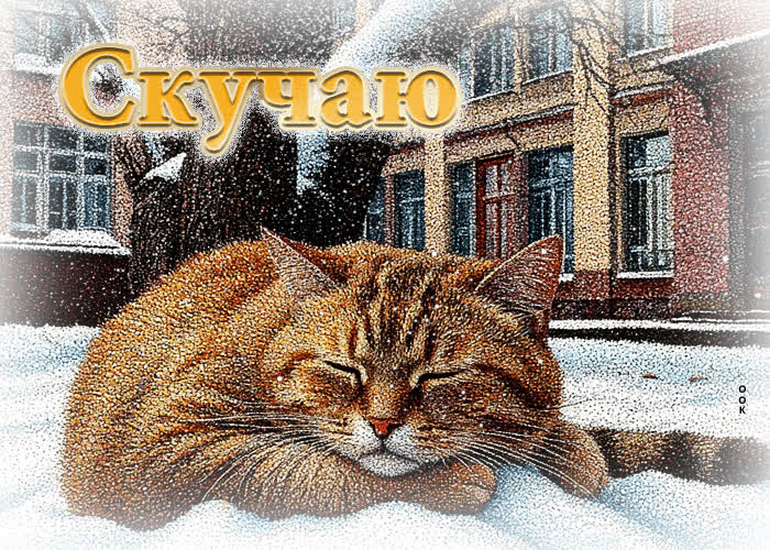 Picture очаровательная снежная гиф-открытка скучаю