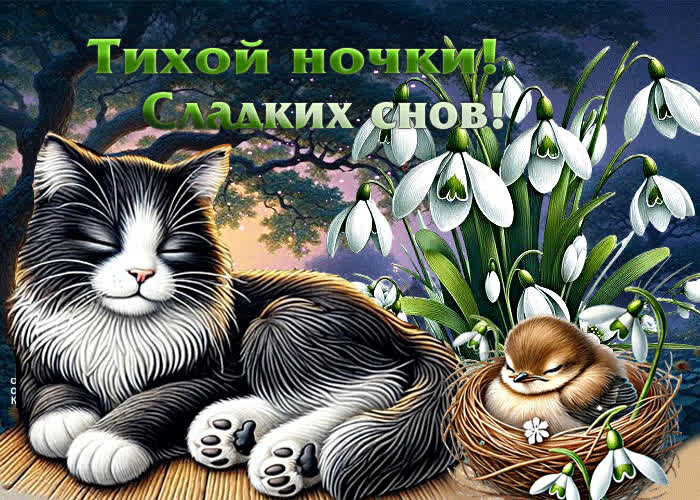 Picture очаровательная весенняя гиф-открытка тихой ночки! сладких снов