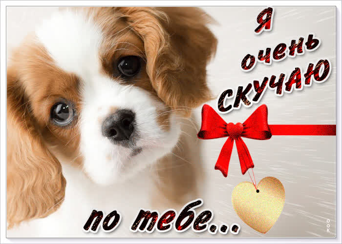 Картинка очаровательная картинка скучаю
