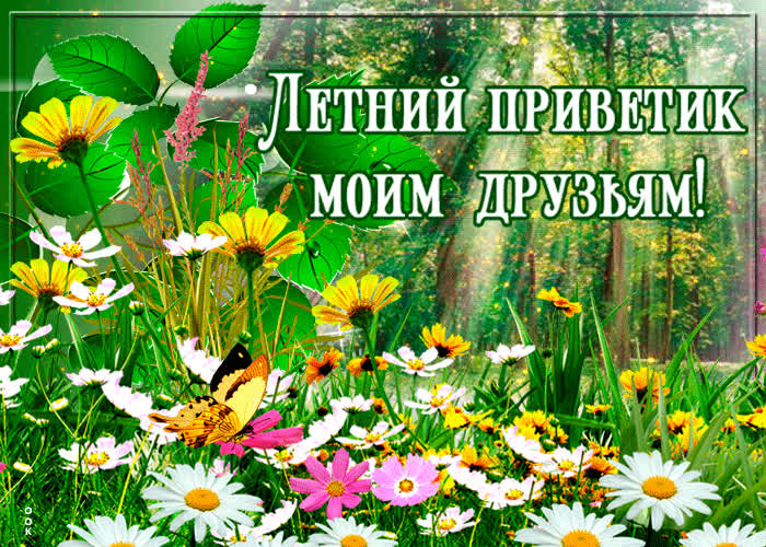 Открытка очень захотелось тебя порадовать мой друг