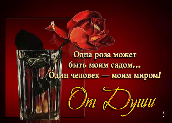 Postcard одна роза может быть моим садом, один человек - моим миром