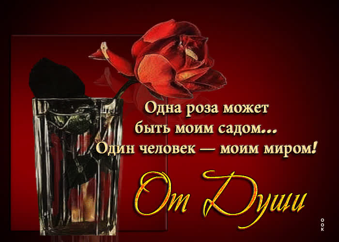 Postcard одна роза может быть моим садом, один человек - моим миром