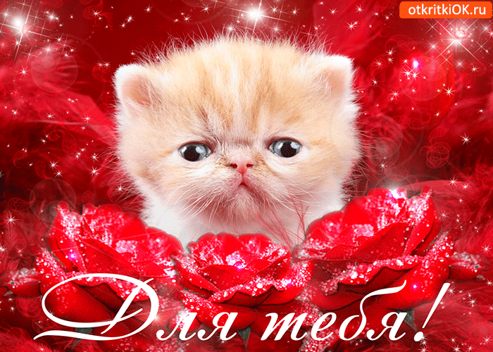 Открытка огромной радости желаю