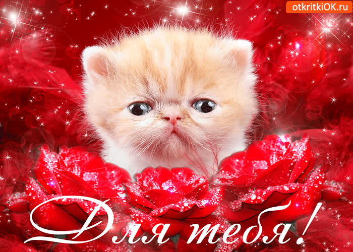 Картинка огромной радости желаю