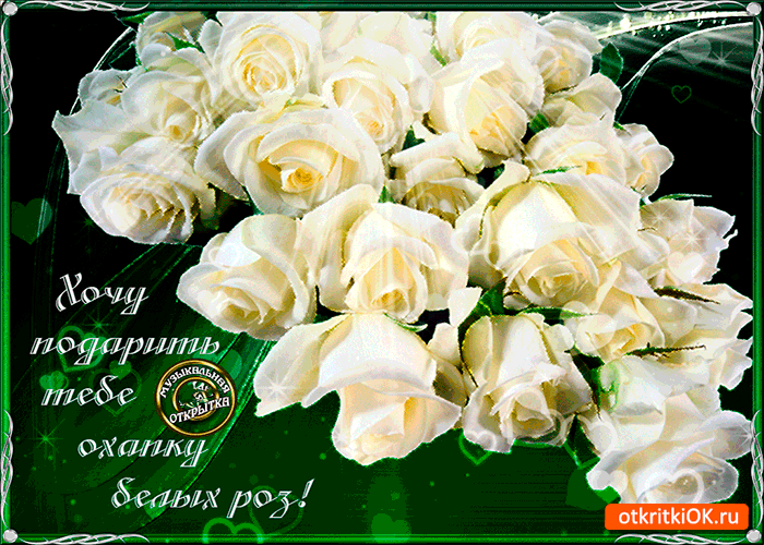 Картинка охапка белых роз