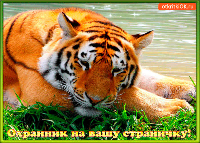 Картинка охранник на вашу страничку