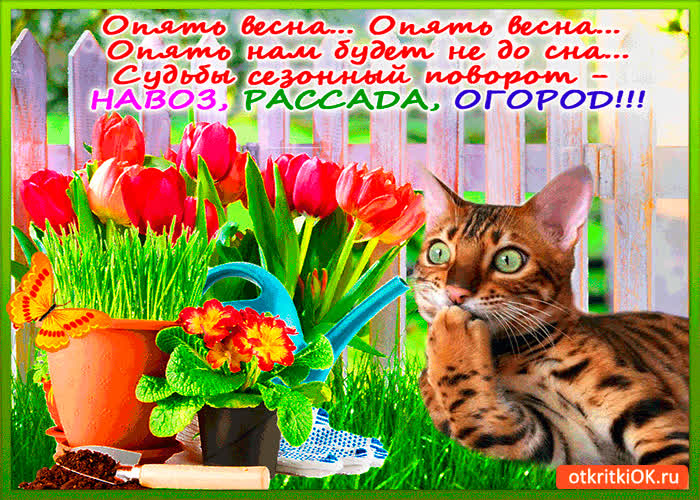 Картинка опять нам будет не до сна