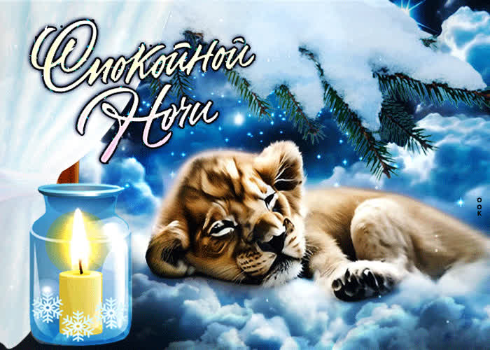 Postcard оптимистичная анимационная открытка с львенком спокойной ночи