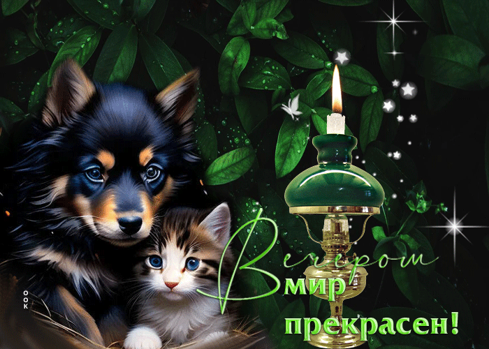 Picture оригинальная гиф-открытка вечером мир прекрасен