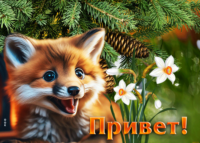 Postcard оригинальная и необычная гиф-открытка с лисенком привет
