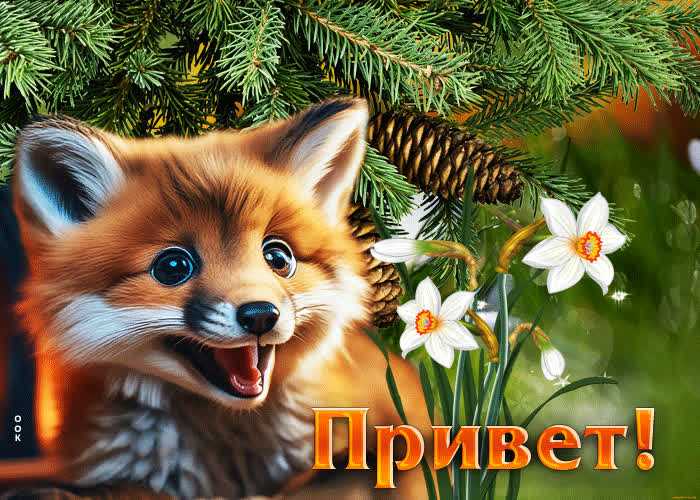 Postcard оригинальная и необычная гиф-открытка с лисенком привет