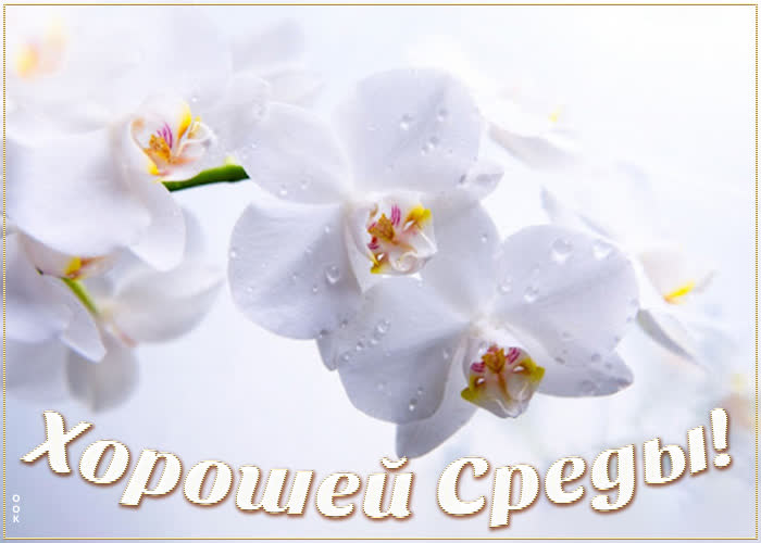 Картинка оригинальная картинка хорошей среды