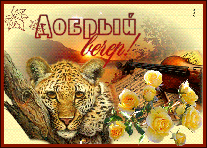Картинка оригинальная открытка добрый вечер