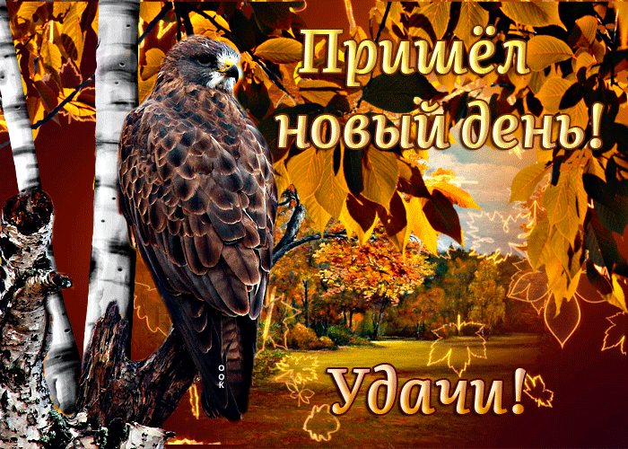 Postcard оригинальная открытка пришел новый день! удачи