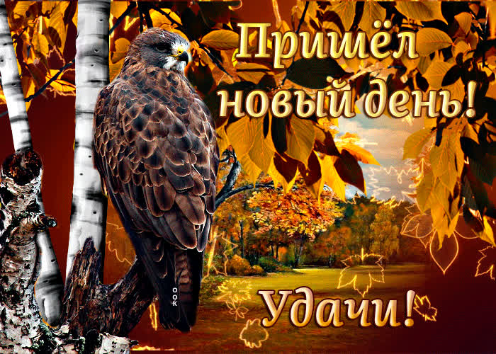 Postcard оригинальная открытка пришел новый день! удачи