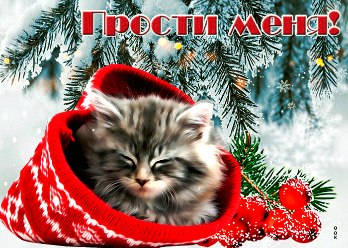 Открытка оригинальная открытка прости меня