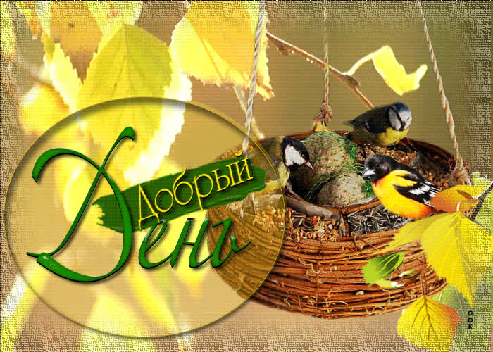 Postcard оригинальная открытка с кормушкой для птиц добрый день!