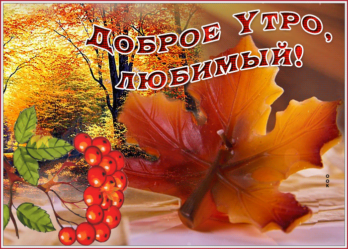 Postcard оригинальная открытка с листочками доброе утро, любимый