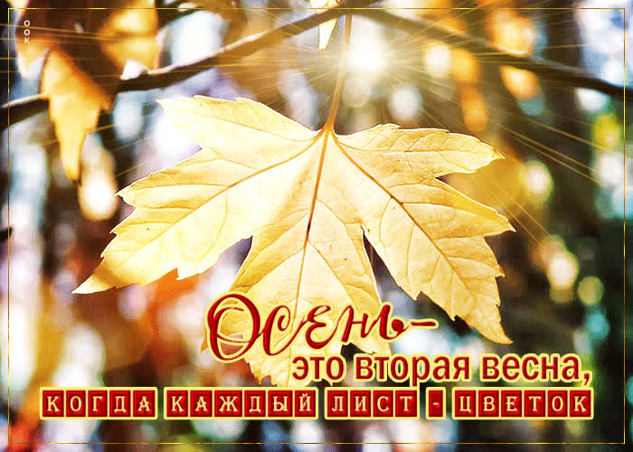 Картинка оригинальная открытка с осенью