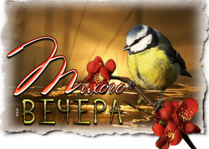 Postcard оригинальная открытка с птичкой тихого вечера