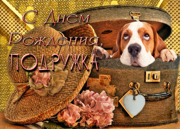 Postcard оригинальная открытка с собачкой с днем рождения, подружка!