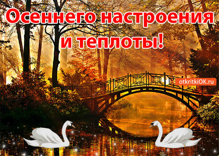 Картинка осеннего настроения и теплоты!