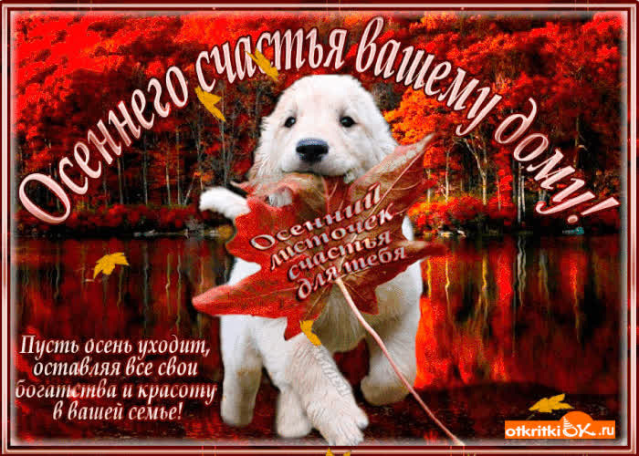 Картинка осеннего счастья