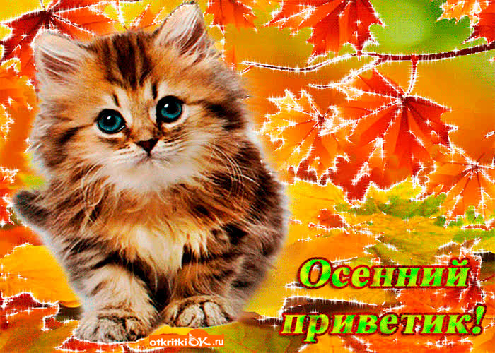 Картинка осенний приветик тебе