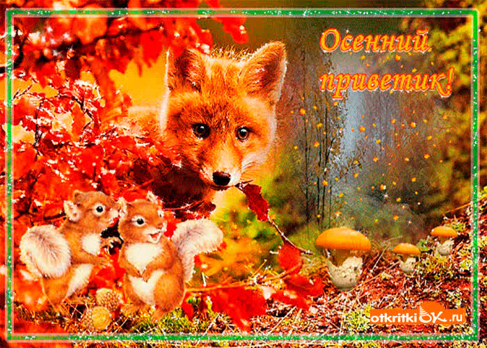 Картинка осенний тёплый приветик