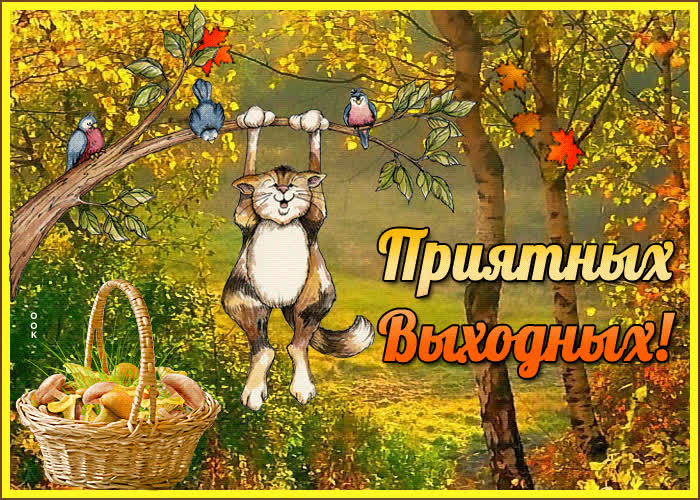 Картинка осенних красивых выходных