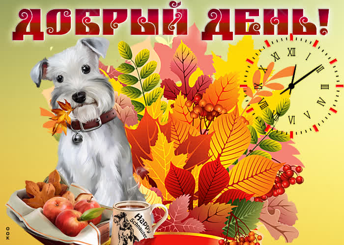 Открытка осенняя картинка добрый день