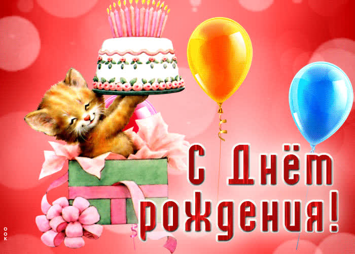 Postcard ослепительная открытка с котиком с днем рождения!