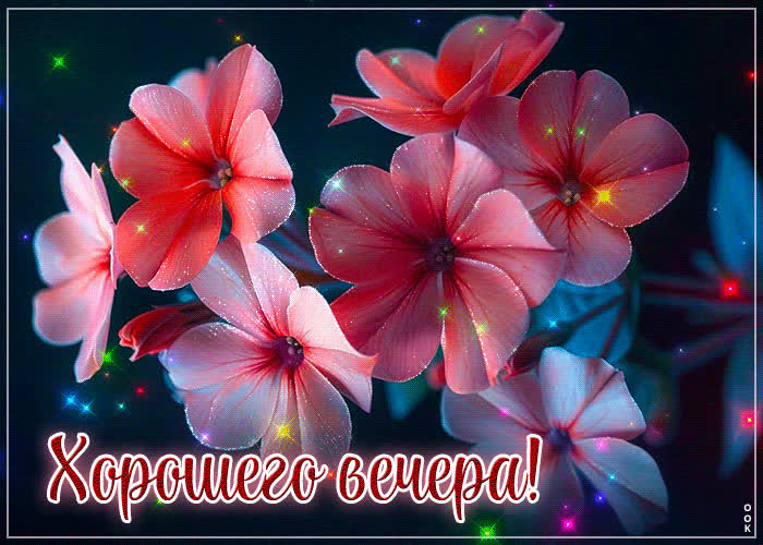 Postcard ослепительная весенняя открытка хорошего вечера