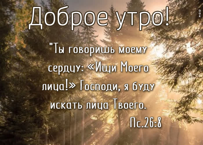 Picture особенная картинка доброе утро!