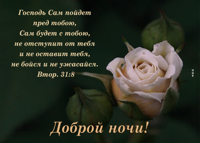 Picture особенная картинка с розой доброй ночи