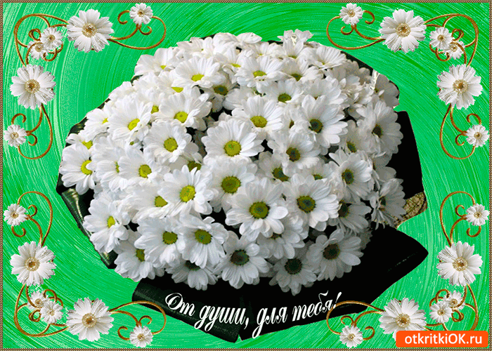 Открытка от души для тебя нежные ромашки