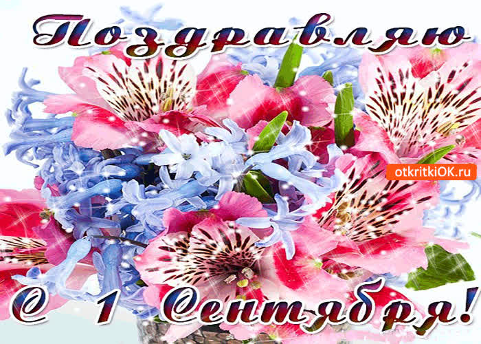 Картинка от души поздравляю с днём знаний!