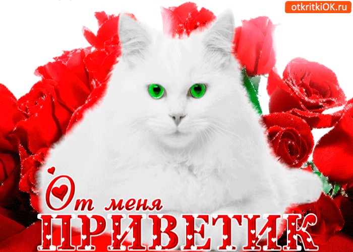 Картинка от меня приветик