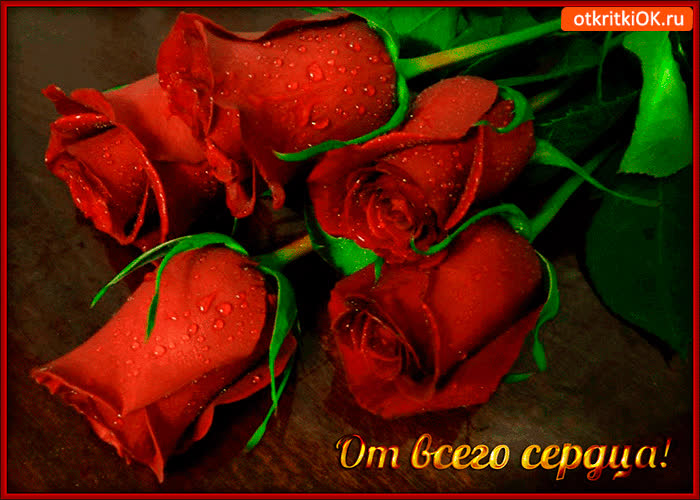 Картинка от всего сердца розы букет