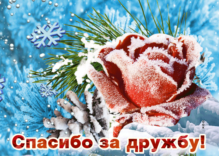Открытка от всей души тебя благодарю
