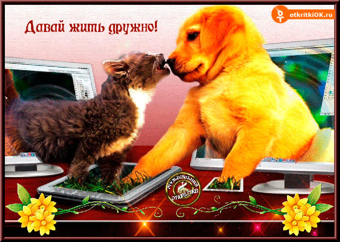 Картинка картинка давай жить дружно